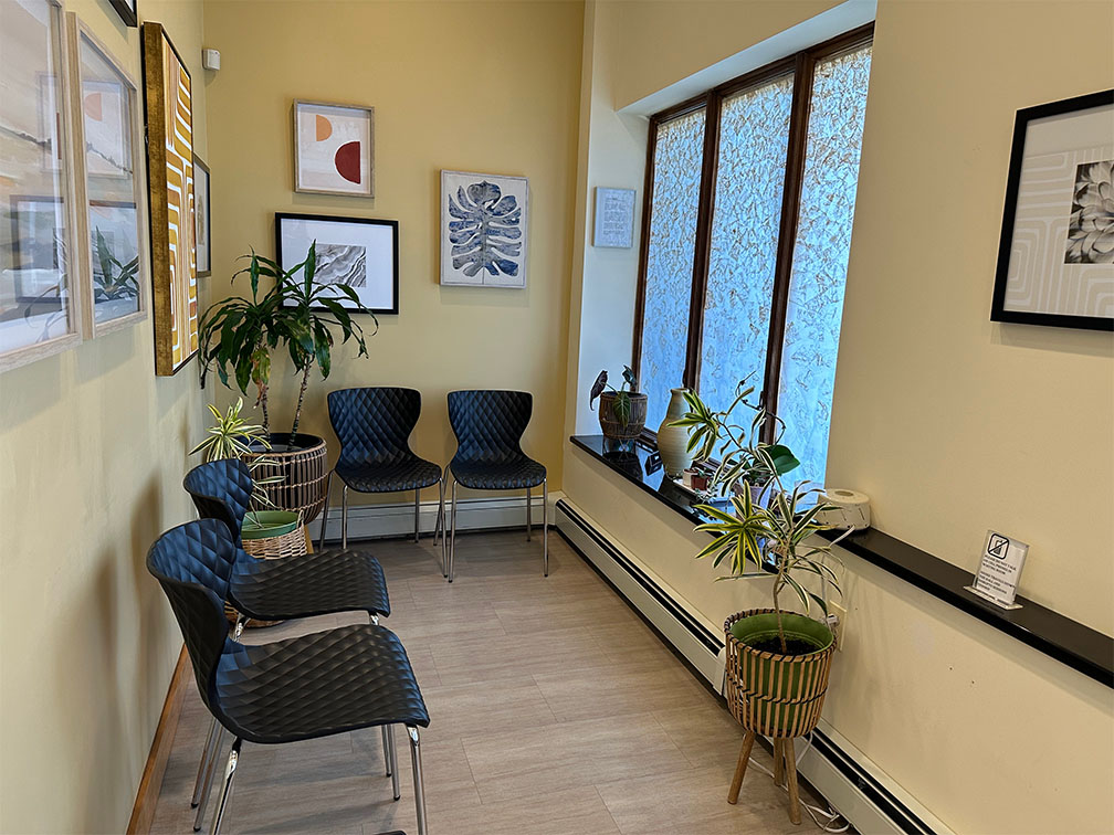 Office waiting room with chairs, plant, window, and some plants